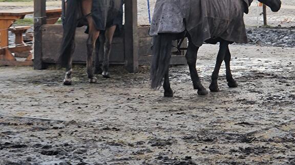  aanbrengen straatwerk voor paarden onderkomen Oude Pekela